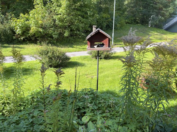 庭に立てられた小鳥のお家も、自然の中で暮らすスウェーデン人の楽しみの一つ